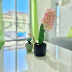 Appartement T2 Confort - Parking - Avenue Camille Pujol Toulouse