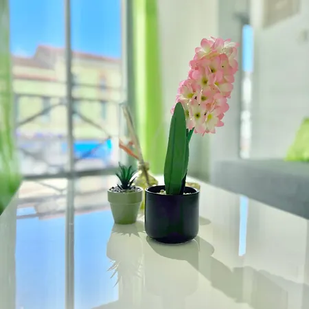 Apartmán T2 Confort - Parking - Avenue Camille Pujol Toulouse