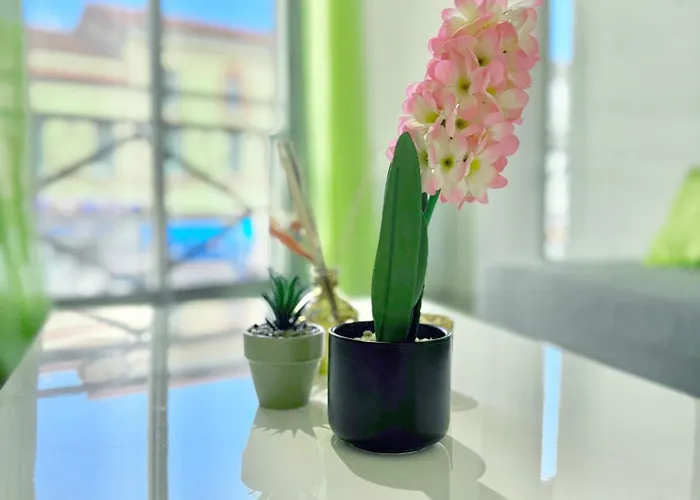 Apartment T2 Confort - Parking - Avenue Camille Pujol Toulouse